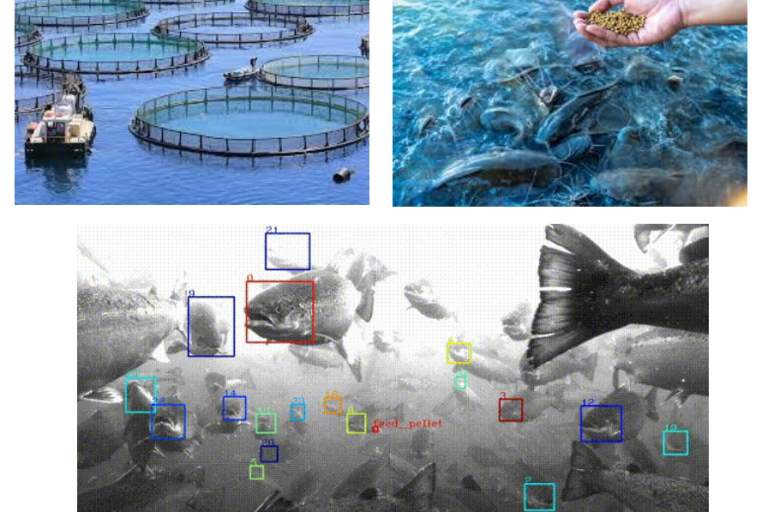 tfm_proposal_ENMIN ZHONG